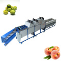 High quality lemon sorting machine supplier sorter kiwi fruit
